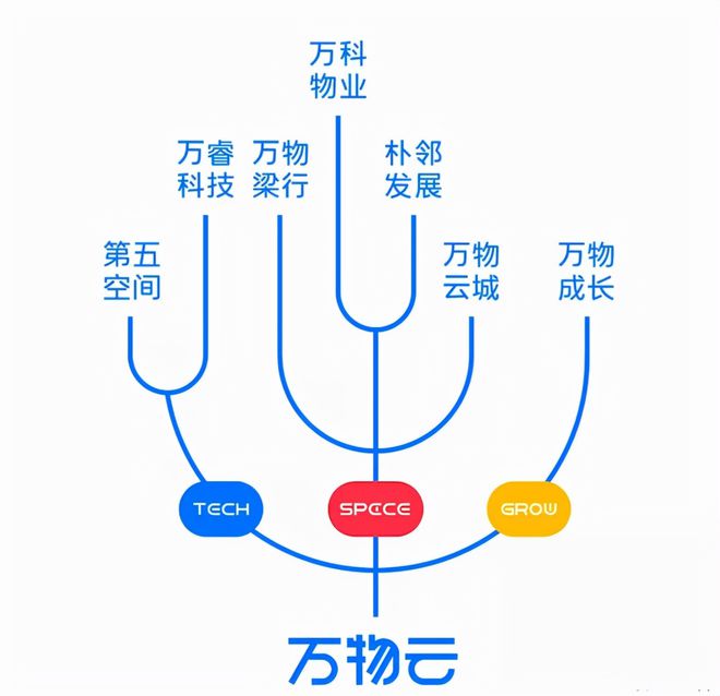 不止数字 过去24小时特别解读（2021.11.08）——云邻未来科技